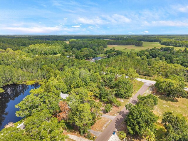 18324 Jorene Rd, Odessa, FL 33556 - photo 29