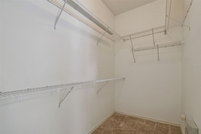 19409 Weymouth Dr, Land O Lakes, FL 34638 - walk in closet with carpet flooring