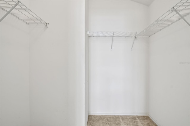 19409 Weymouth Dr, Land O Lakes, FL 34638 - spacious closet featuring carpet floors