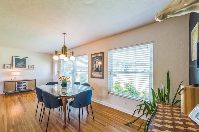 1220 Magnolia Dr, Clearwater, FL 33756 - photo 12