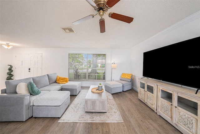 13013 Sawmill Way, Hudson, FL 34667 - living area featuring a textured ceiling, wood finished floors, ceiling fan, baseboards, and ornamental molding