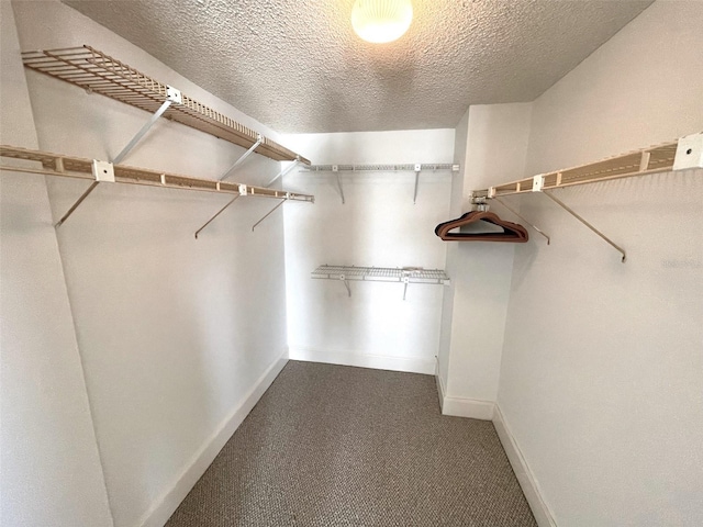 4950 Gulf Blvd Unit 404, St Pete Beach, FL 33706 - spacious closet with dark carpet