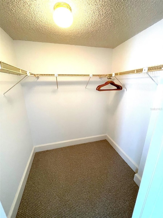 4950 Gulf Blvd Unit 404, St Pete Beach, FL 33706 - spacious closet featuring carpet flooring