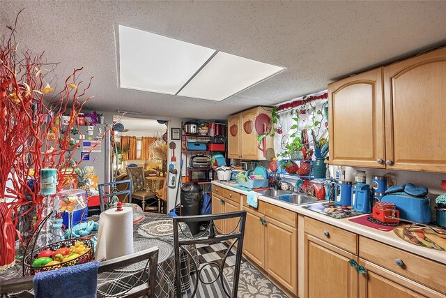 1517 Clark St, Clearwater, FL 33755 - photo 21