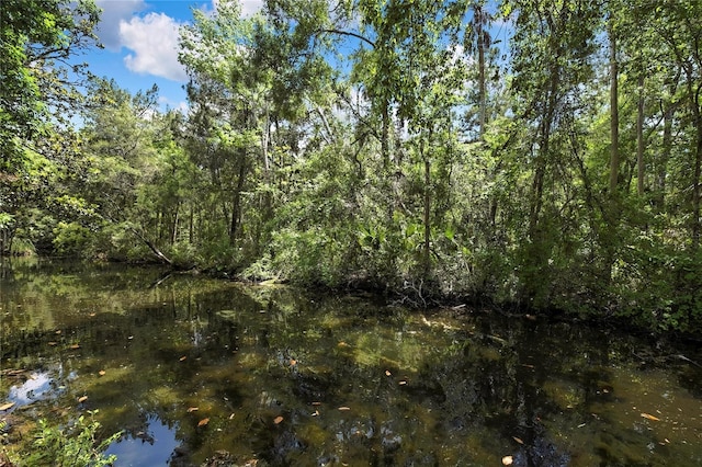 8944 W White Dogwood Dr, Homosassa, FL 34448 - view of woods