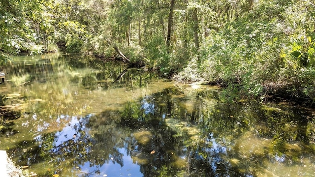 8944 W White Dogwood Dr, Homosassa, FL 34448 - view of undeveloped land