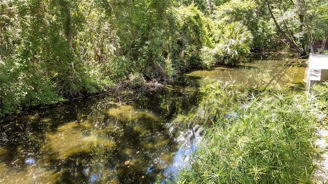 8944 W White Dogwood Dr, Homosassa, FL 34448 - view of nature