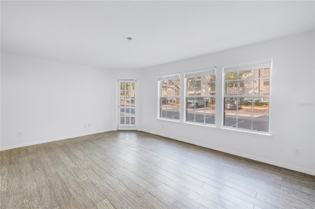 3305 Haviland Ct Unit 101, Palm Harbor, FL 34684 - empty room with wood finished floors and baseboards