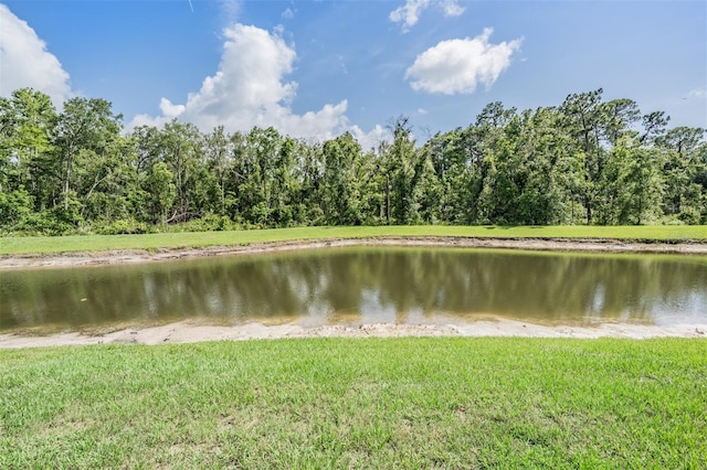17592 Nectar Flume Dr, Land O Lakes, FL 34638 - photo 28