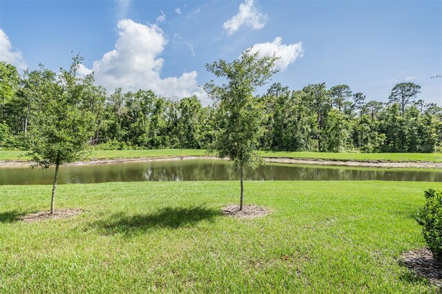 17592 Nectar Flume Dr, Land O Lakes, FL 34638 - photo 30
