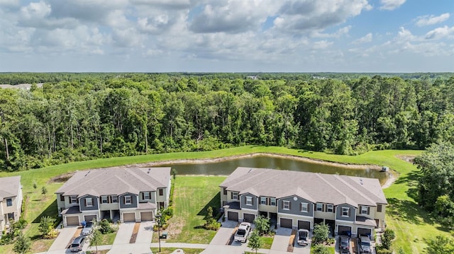 17592 Nectar Flume Dr, Land O Lakes, FL 34638 - photo 39