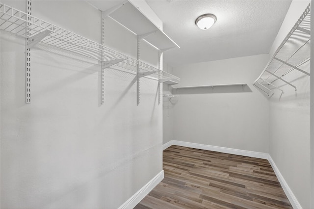 11320 Partridge Dr, Tampa, FL 33625 - photo 28