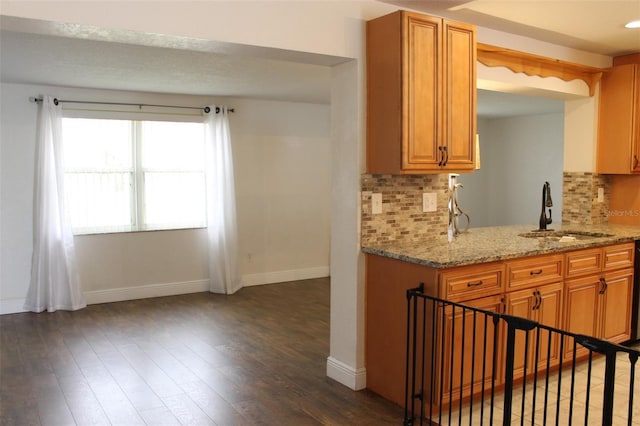 9705 45th Way N, Pinellas Park, FL 33782 - kitchen featuring a sink, baseboards, decorative backsplash, and dark wood-style flooring