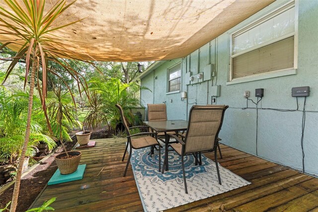 328 Pershing St, Dunedin, FL 34698 - photo 44