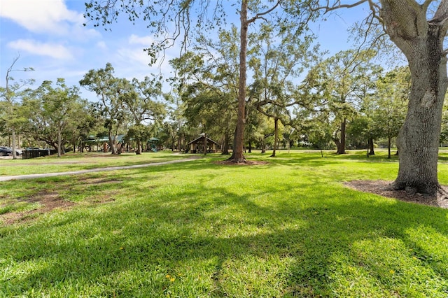328 Pershing St, Dunedin, FL 34698 - photo 45