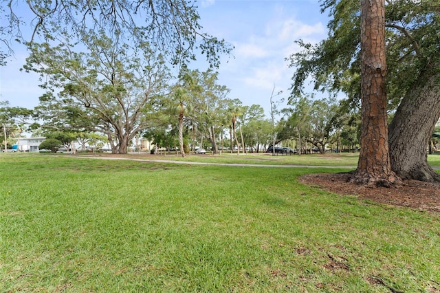 328 Pershing St, Dunedin, FL 34698 - photo 46