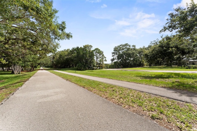 328 Pershing St, Dunedin, FL 34698 - photo 48