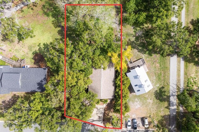 328 Pershing St, Dunedin, FL 34698 - photo 49