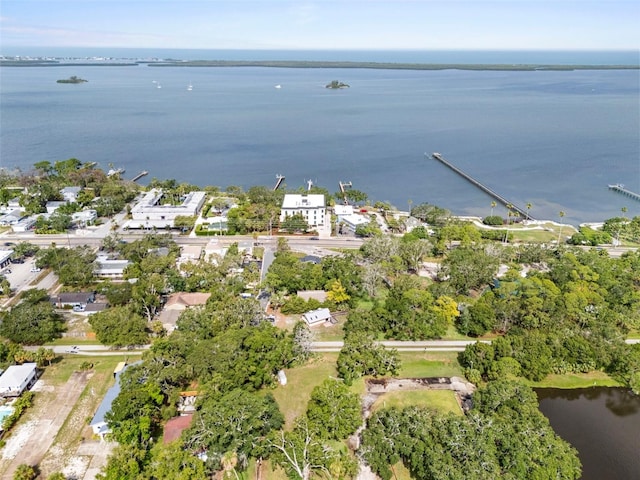 328 Pershing St, Dunedin, FL 34698 - photo 51
