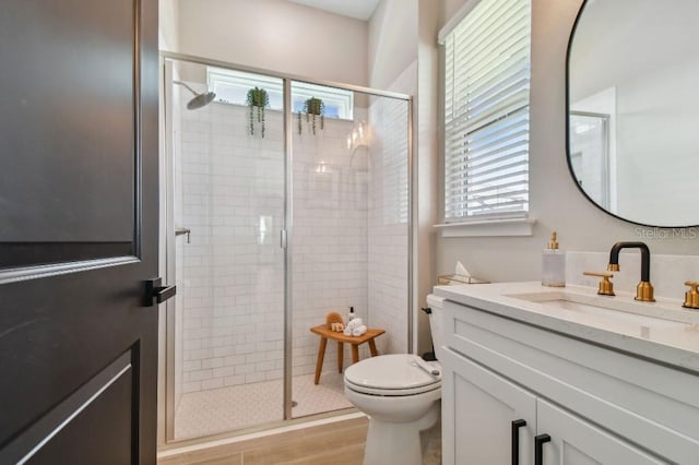 6129 Marsh Trail Dr, Odessa, FL 33556 - bathroom featuring vanity, toilet, and a stall shower
