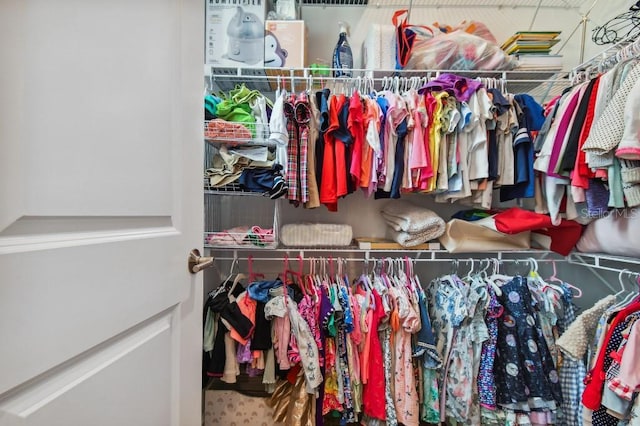 6129 Marsh Trail Dr, Odessa, FL 33556 - view of spacious closet