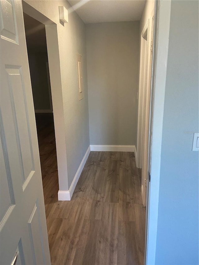2160 Corbin Pl Unit C, Palm Harbor, FL 34683 - hallway with wood finished floors