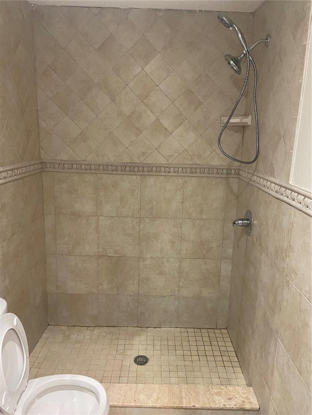 2160 Corbin Pl Unit C, Palm Harbor, FL 34683 - bathroom with toilet and a stall shower
