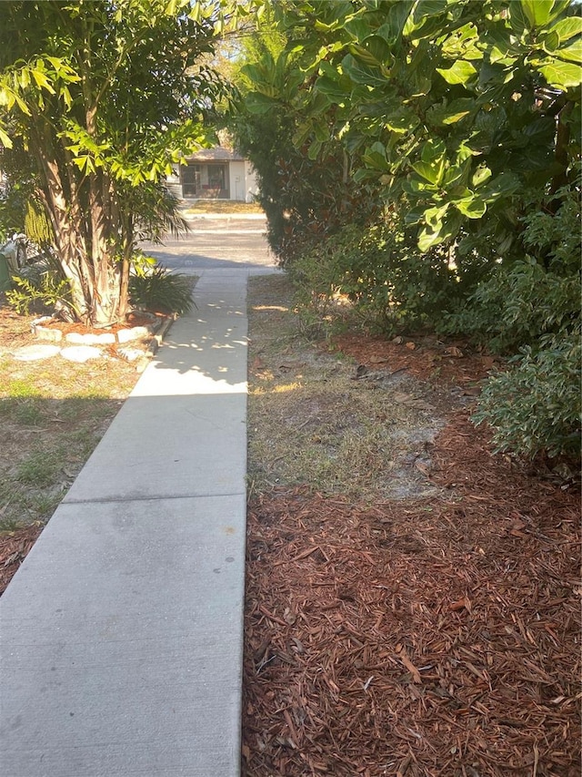 2160 Corbin Pl Unit C, Palm Harbor, FL 34683 - view of yard