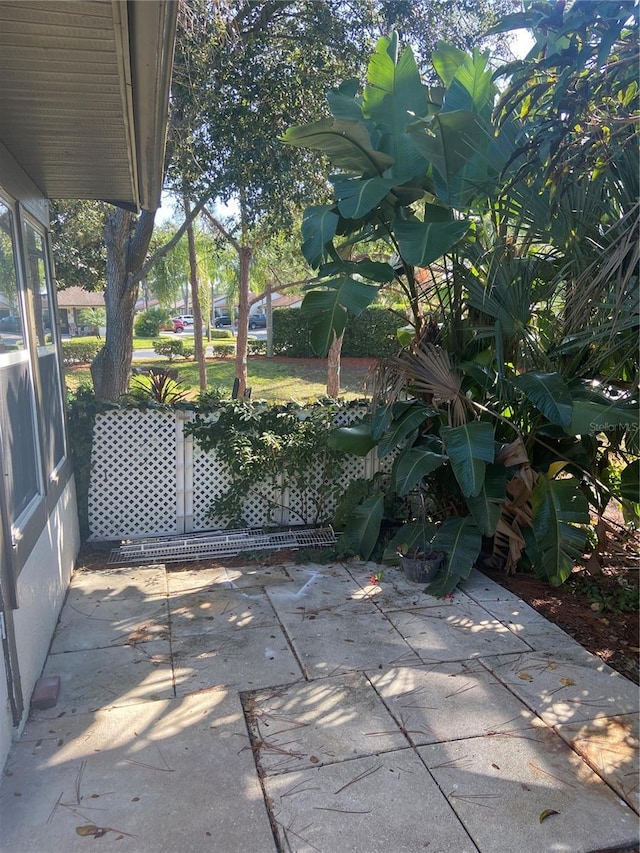 2160 Corbin Pl Unit C, Palm Harbor, FL 34683 - view of patio / terrace