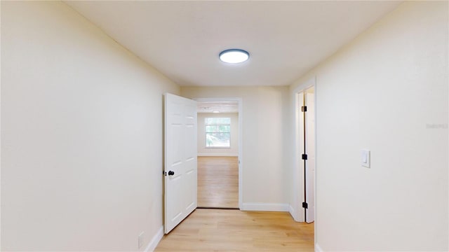 9218 Memorial Hwy, Tampa, FL 33615 - photo 18