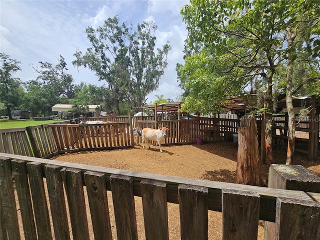 4352 Joy Dr, Land O Lakes, FL 34638 - view of yard