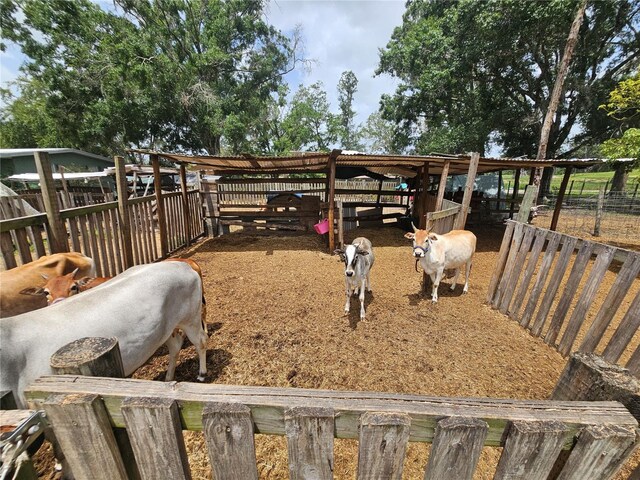 4352 Joy Dr, Land O Lakes, FL 34638 - view of yard with an exterior structure and an outbuilding