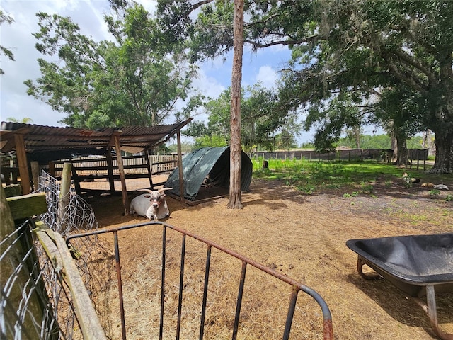 4352 Joy Dr, Land O Lakes, FL 34638 - view of yard