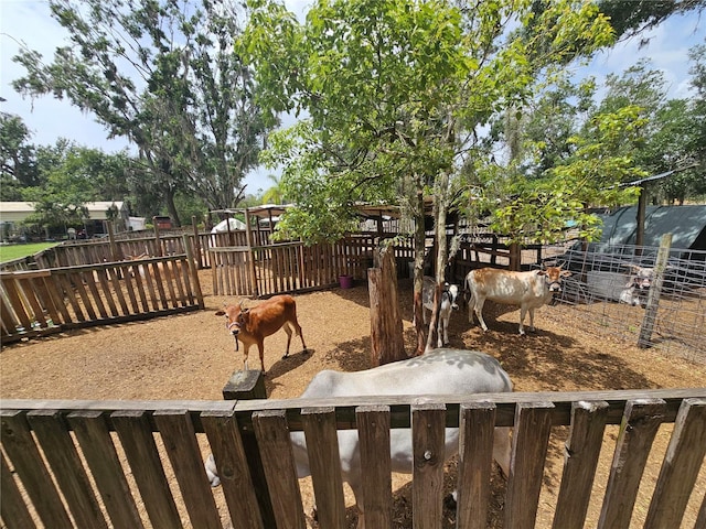 4352 Joy Dr, Land O Lakes, FL 34638 - view of yard featuring an exterior structure and an outdoor structure