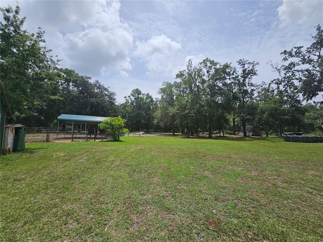 4352 Joy Dr, Land O Lakes, FL 34638 - view of yard