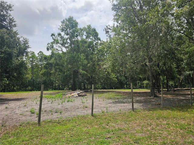 4352 Joy Dr, Land O Lakes, FL 34638 - view of yard