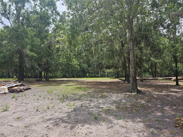 4352 Joy Dr, Land O Lakes, FL 34638 - view of tree filled area