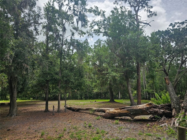 4352 Joy Dr, Land O Lakes, FL 34638 - view of undeveloped land