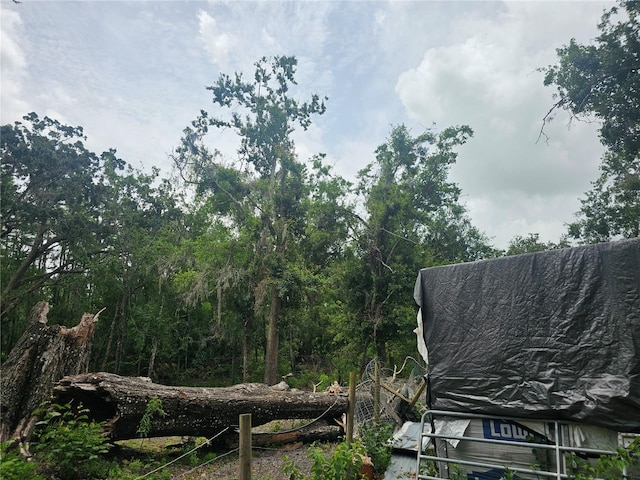 4352 Joy Dr, Land O Lakes, FL 34638 - view of undeveloped land