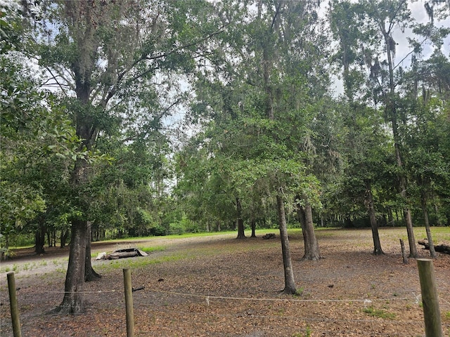 4352 Joy Dr, Land O Lakes, FL 34638 - surrounding community