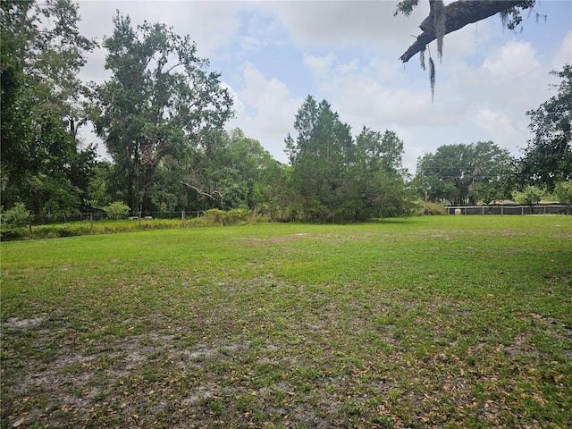 4352 Joy Dr, Land O Lakes, FL 34638 - view of yard