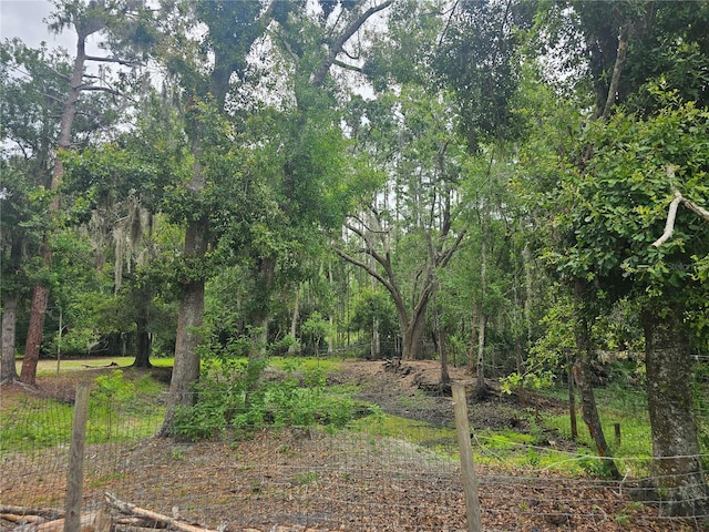4352 Joy Dr, Land O Lakes, FL 34638 - view of nature