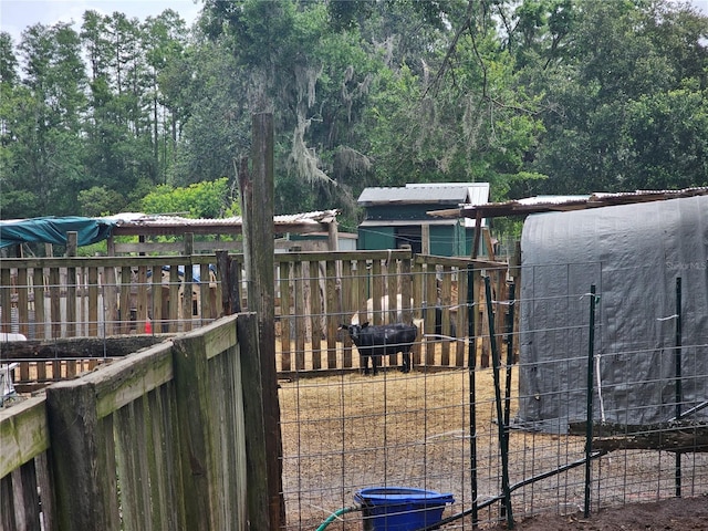 4352 Joy Dr, Land O Lakes, FL 34638 - view of yard