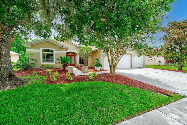 1610 Stetson Dr, Wesley Chapel, FL 33543 - photo 1