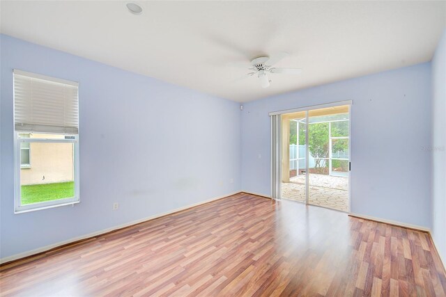 1610 Stetson Dr, Wesley Chapel, FL 33543 - photo 14