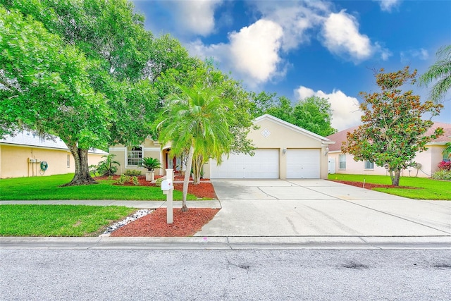 1610 Stetson Dr, Wesley Chapel, FL 33543 - photo 27