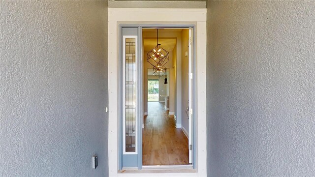 17714 Everlong Dr, Land O Lakes, FL 34638 - photo 5