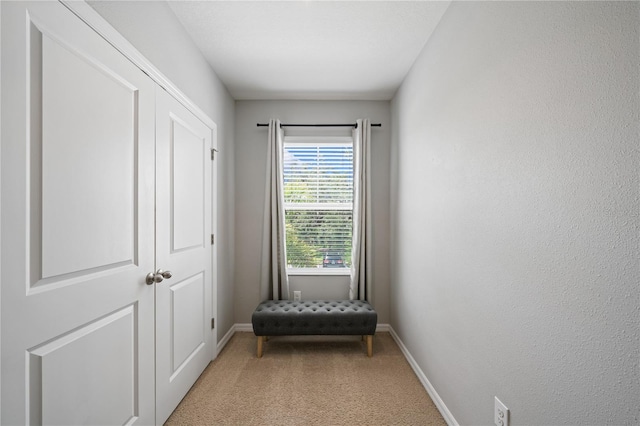 4504 Silver Lining St, Sarasota, FL 34238 - living area featuring light colored carpet and baseboards