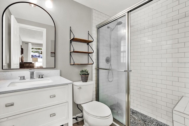 801 Kirkcaldy Way, Valrico, FL 33594 - bathroom with toilet, a stall shower, and vanity