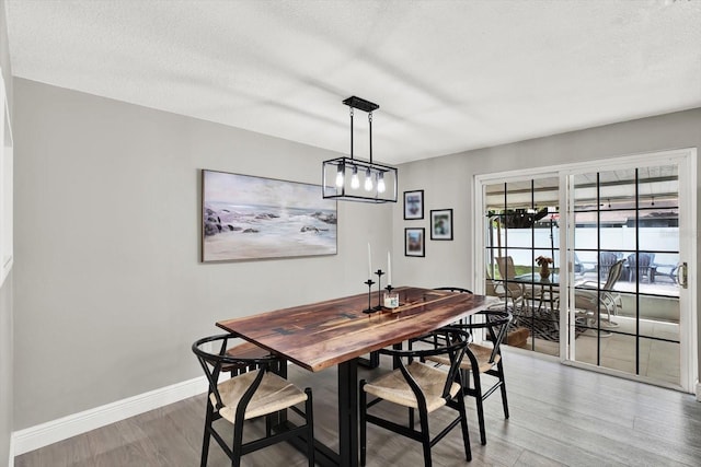801 Kirkcaldy Way, Valrico, FL 33594 - dining room featuring light wood-type flooring, baseboards, and a textured ceiling